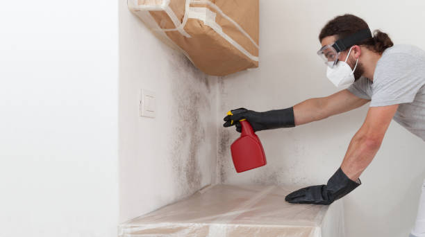 Professional Attic Mold Remediation technician working in Westmont, IL