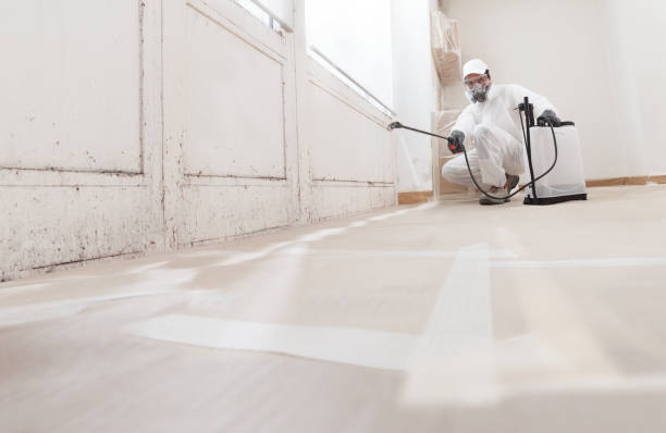 24/7 Emergency Attic Mold Remediation experts in Westmont, IL